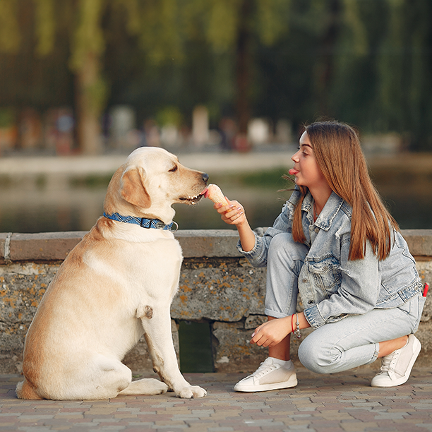 Confessions of a Serial Dog Poo Picker