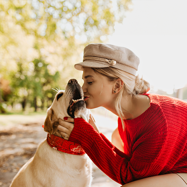 “I Can’t Be Bothered to Walk My Dog!”