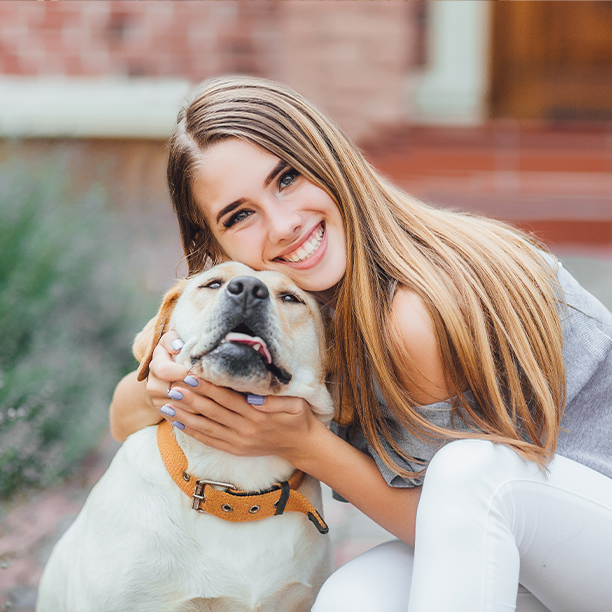 Why Summer Feels Hotter for Your Dog