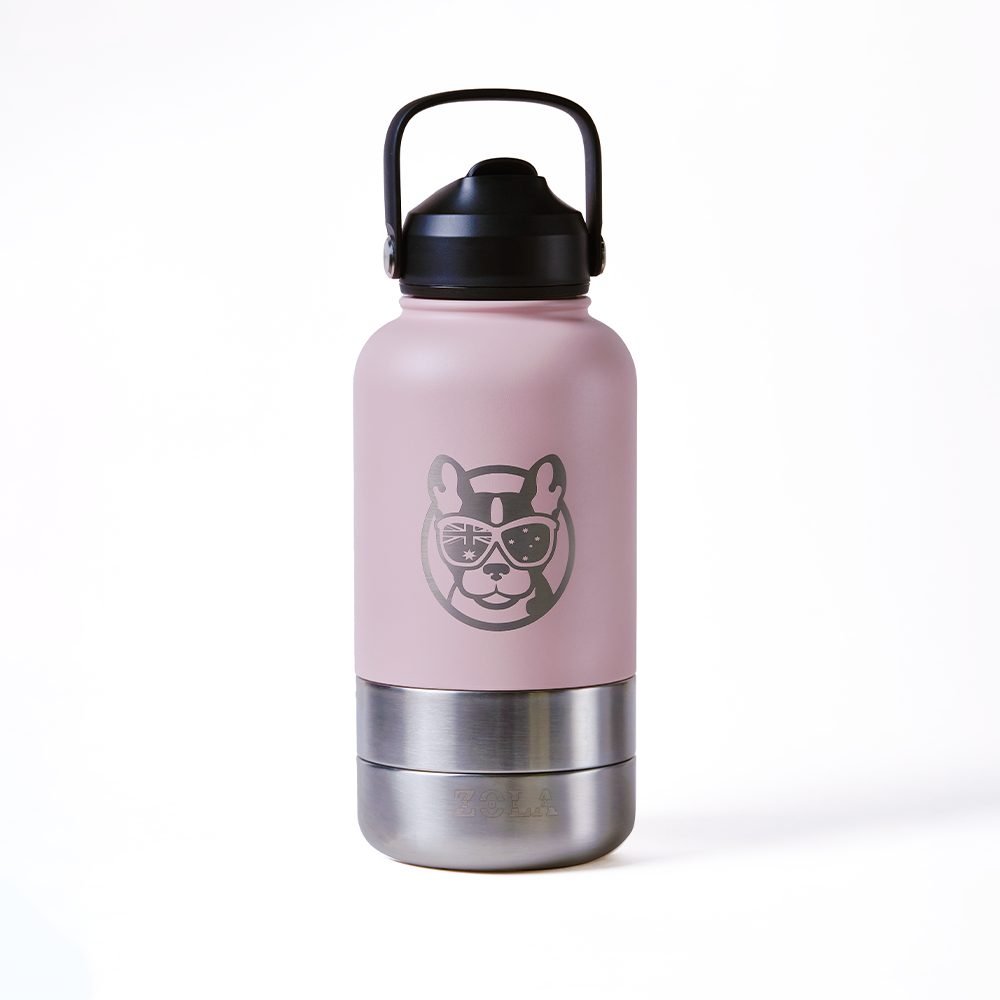 SnackSpout Pink