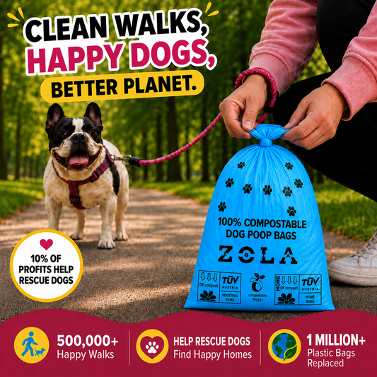 Zola Zola compostable dog poo bags, flat top style, in everyday use on a walk