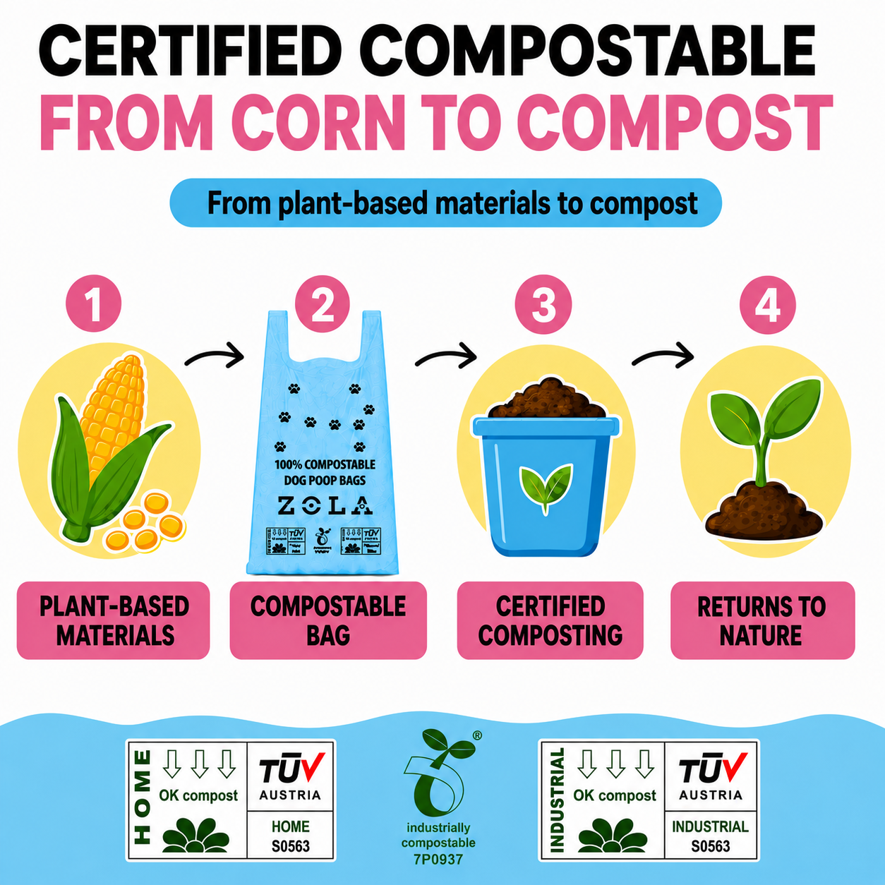 From corn to compost: how Zola Zola cornstarch dog poo bags with handles break down
